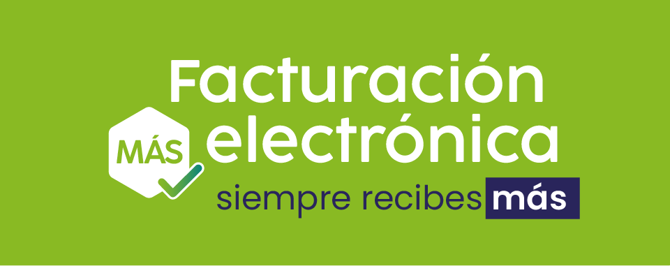 FE Logo